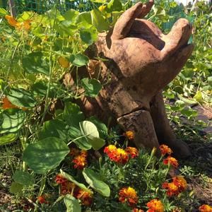 Meet your Posher, June